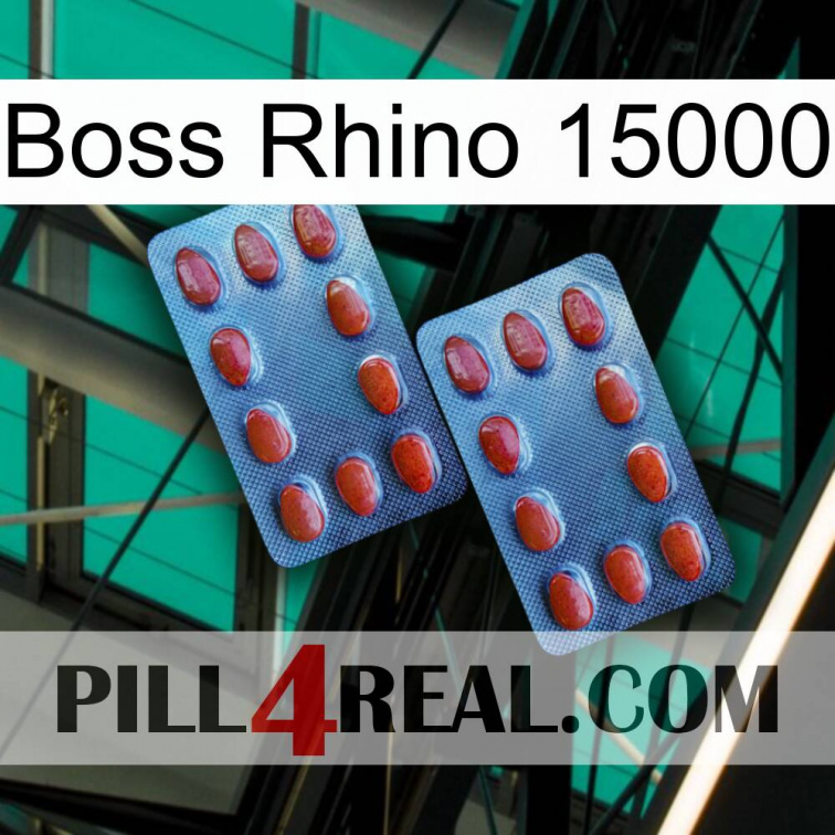 Boss Rhino 15000 05